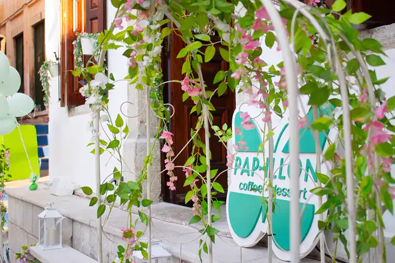 Pap-illon — About us